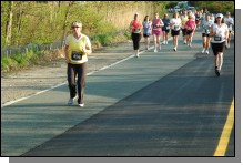 090513-Roses081.jpg  (117.9 Kb)