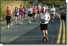 090513-Roses082.jpg  (109.0 Kb)