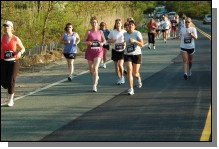 090513-Roses084.jpg  (111.2 Kb)