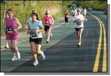 090513-Roses086.jpg  (114.0 Kb)