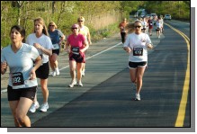 090513-Roses087.jpg  (112.5 Kb)