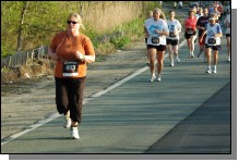 090513-Roses090.jpg  (119.7 Kb)