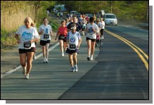 090513-Roses091.jpg  (107.8 Kb)