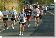 090513-Roses092.jpg  (109.5 Kb)