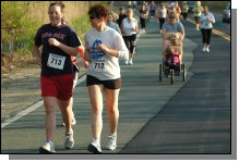 090513-Roses094.jpg  (96.1 Kb)