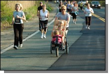 090513-Roses096.jpg  (106.1 Kb)