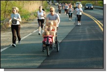 090513-Roses097.jpg  (104.6 Kb)