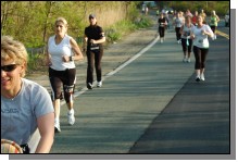 090513-Roses099.jpg  (92.2 Kb)