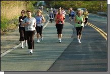 090513-Roses102.jpg  (109.0 Kb)