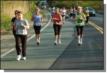 090513-Roses103.jpg  (110.3 Kb)