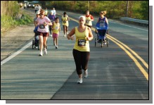 090513-Roses105.jpg  (96.2 Kb)