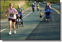 090513-Roses107.jpg  (111.6 Kb)