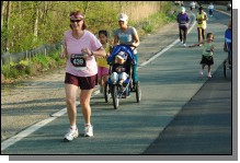 090513-Roses108.jpg  (132.1 Kb)