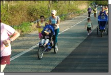 090513-Roses109.jpg  (130.4 Kb)