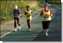 090513-Roses112.jpg  (120.4 Kb)