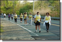 090513-Roses117.jpg  (117.2 Kb)