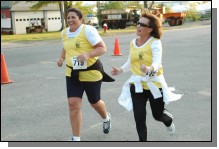 090513-Roses403.jpg  (87.4 Kb)