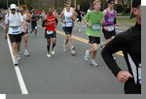 DSC_3454.jpg  (72.7 Kb)