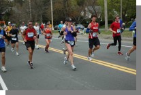 DSC_3522.jpg  (72.3 Kb)