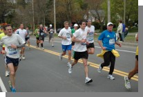 DSC_3544.jpg  (64.5 Kb)