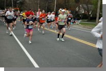 DSC_3721.jpg  (78.8 Kb)