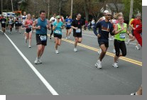 DSC_3912.jpg  (79.6 Kb)