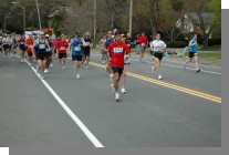DSC_3953.jpg  (72.6 Kb)
