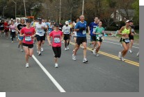 DSC_4041.jpg  (80.2 Kb)