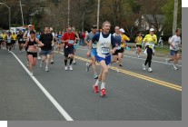 DSC_4110.jpg  (78.7 Kb)