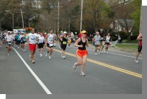 DSC_4123.jpg  (82.2 Kb)