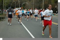 DSC_4124.jpg  (76.2 Kb)