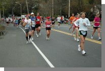 DSC_4150.jpg  (76.1 Kb)