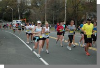 DSC_5217.jpg  (80.9 Kb)