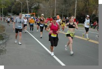 DSC_5251.jpg  (75.7 Kb)