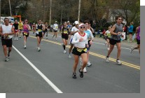 DSC_5262.jpg  (78.9 Kb)