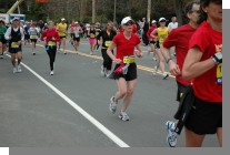 DSC_5597.jpg  (69.8 Kb)