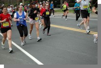 DSC_5757.jpg  (77.2 Kb)