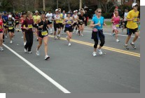 DSC_6174.jpg  (73.8 Kb)