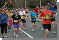 DSC_6178.jpg  (79.3 Kb)