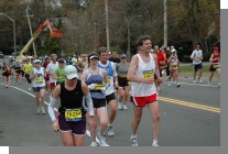 DSC_6202.jpg  (76.7 Kb)