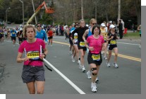 DSC_6244.jpg  (67.9 Kb)