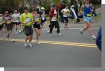 DSC_6521.jpg  (59.7 Kb)