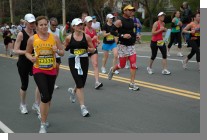 DSC_6881.jpg  (71.4 Kb)