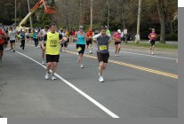 DSC_6977.jpg  (73.9 Kb)