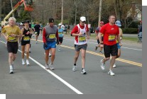 DSC_6992.jpg  (80.8 Kb)