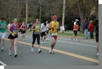 DSC_7037.jpg  (80.3 Kb)