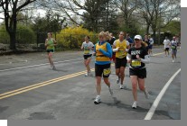 DSC_7477.jpg  (91.5 Kb)