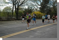 DSC_7555.jpg  (96.6 Kb)