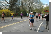 DSC_7645.jpg  (99.9 Kb)