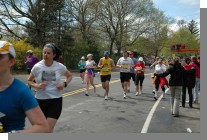 DSC_7646.jpg  (94.5 Kb)